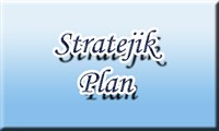 2010-2014 Stratejik Plan